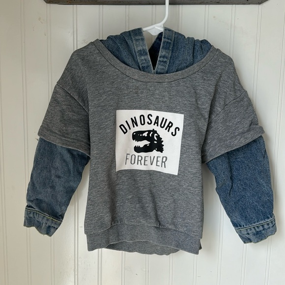 Dinosaur sweatshirt - Picture 2 of 4